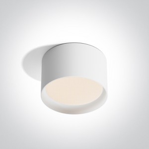 SPOT APARENT LED 20W CCT IP44 12120D WHITE